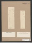 Pleurosigma subrectum Cleve (de-Toni-Nr.: Genus 13, Species 1005) Zeichnungen Sammlung Grunow Nr. 2042 (NHMW-BOT-W0368897)